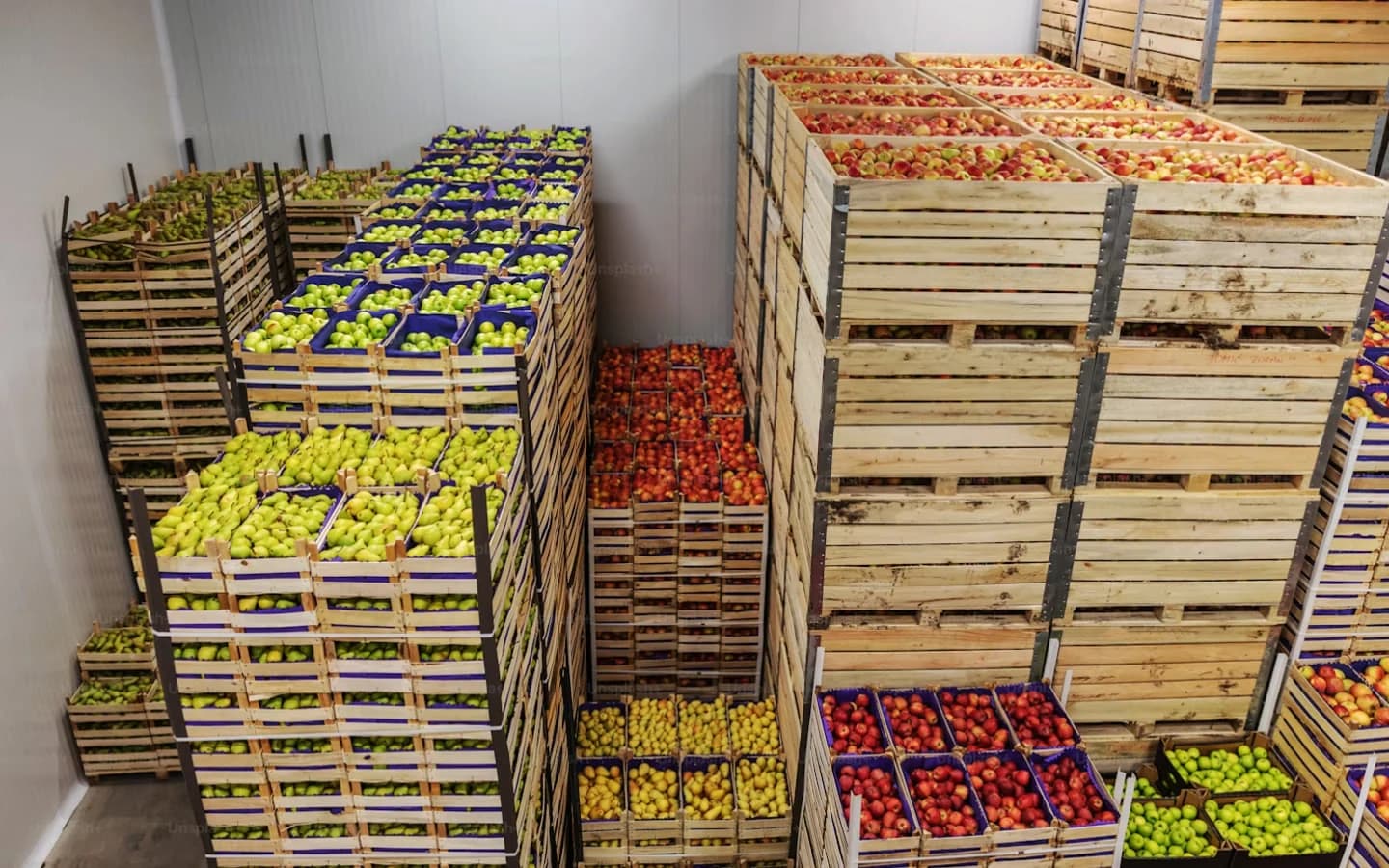 Fresh produce crates stacked in cold storage